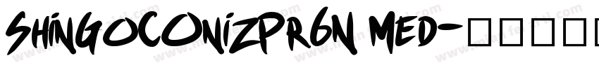ShinGoCOnizPr6N Med字体转换
